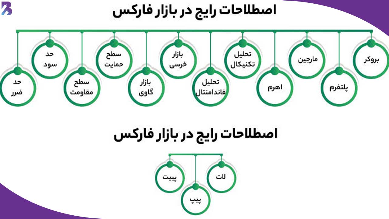 اصطلاحات رایج در بازار فارکس